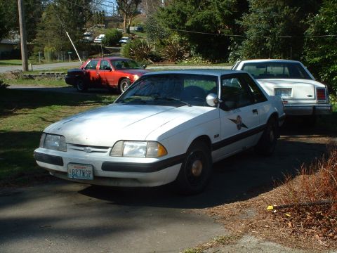 1987 Ford Mustang - A white 1987 Ford Mustang coupe is parked in front of another vehicle, displaying a distinctive decal on its door.