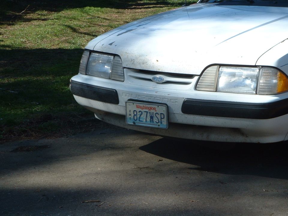 White Ford Mustang front with Washington license plate 827WSP and visible 'Mustang' badging