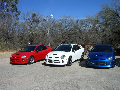 1996 Ford Probe - Three Dodge SRT-4 Neons are parked side-by-side outdoors on a sunny day.