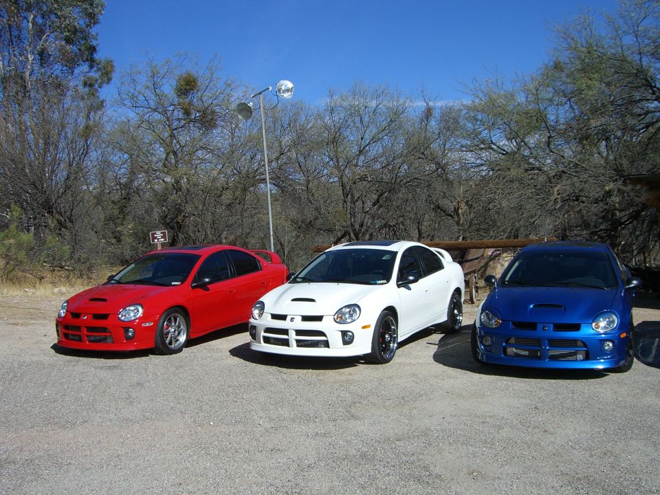 Red, white, and blue Dodge SRT-4 Neons parked in a lot with trees and a blue sky