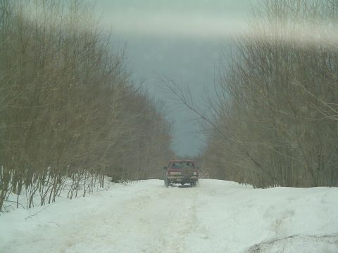 1994 Ford Bronco - A red SUV navigates a snow-covered road flanked by trees, kicking up snow as it drives away.
