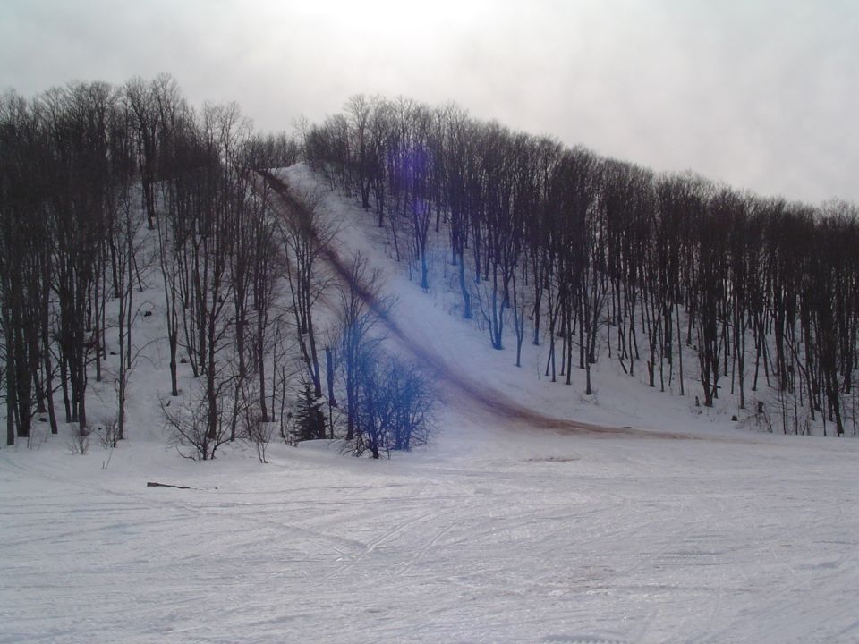 Snowy ski slope with bare trees and a dirt path