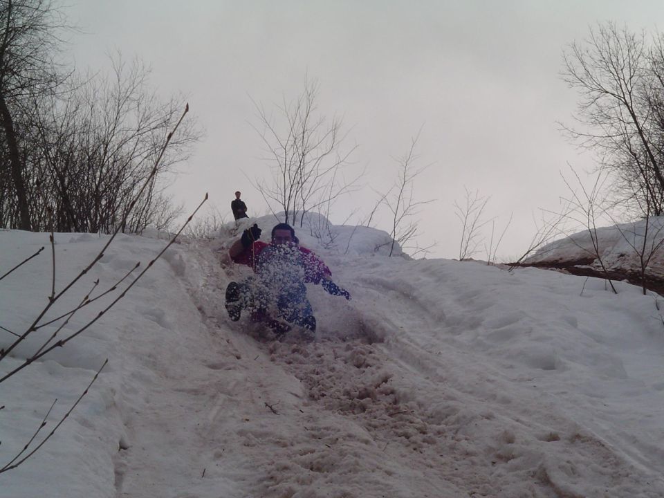 Person sliding down a snow-covered hill with trees in the background