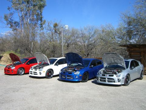 1996 Ford Probe - A row of four Dodge Neon SRT-4s, each with its hood raised, sits under a clear blue sky.