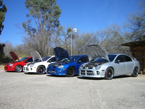 1996 Ford Probe - A line of Dodge Neon SRT-4s, hoods open, are parked outdoors under a clear blue sky.