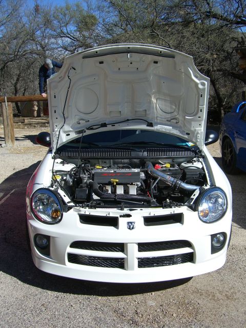 1996 Ford Probe - The front of a white Dodge Neon SRT-4 is shown with its hood open, revealing the engine compartment.