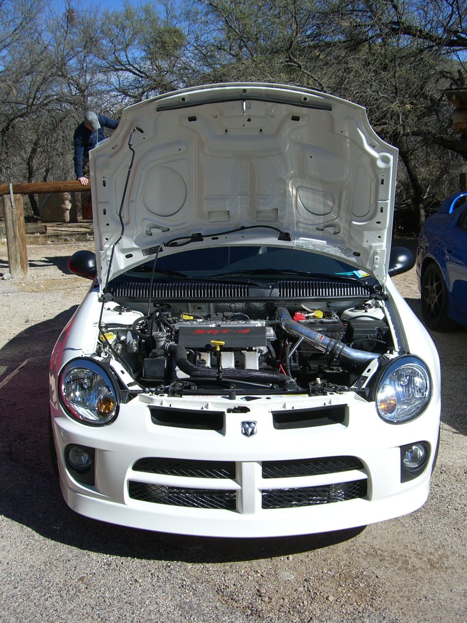 White Dodge Neon SRT-4 with hood open, showing engine. Another blue car is parked to the right