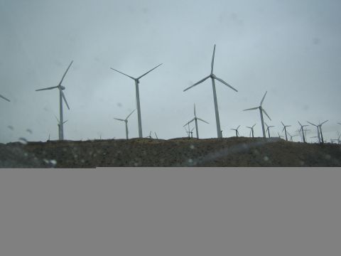 1990 Ford Bronco - field of wind turbines stands on a low ridge under a gray sky, with the lower frame blocked by a gray bar.