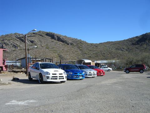 1996 Ford Probe - A group of Dodge Neon SRT-4s are lined up in a parking lot under a clear blue sky.