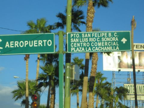 1990 Ford Bronco - Green directional street signs point to the airport and towns like Puerto San Felipe, framed by tall palm trees.