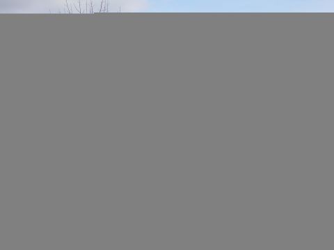 2003 Ford Ranger photo