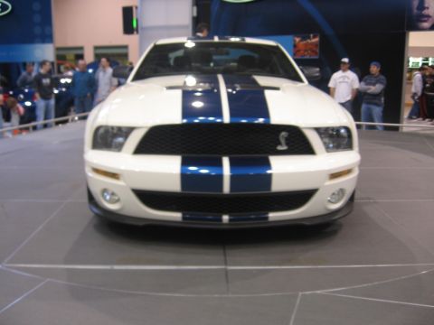 1999 Ford Crown Victoria - A white Ford Mustang Shelby GT500 with blue racing stripes is displayed indoors.