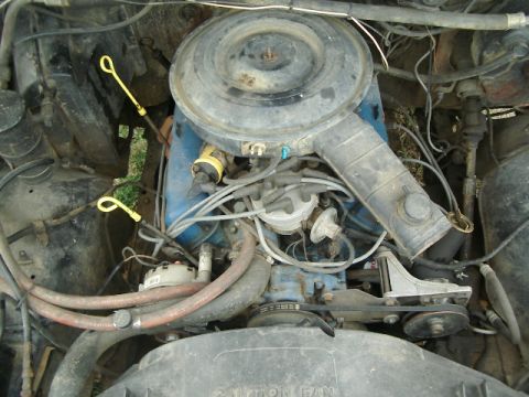 1984 Ford Bronco photo