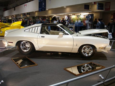 1981 Ford Mustang - Cobra's rule!