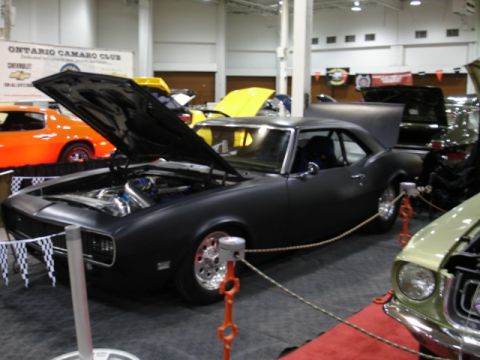 1981 Ford Mustang - A black coupe with its hood open is displayed indoors, alongside other vehicles.