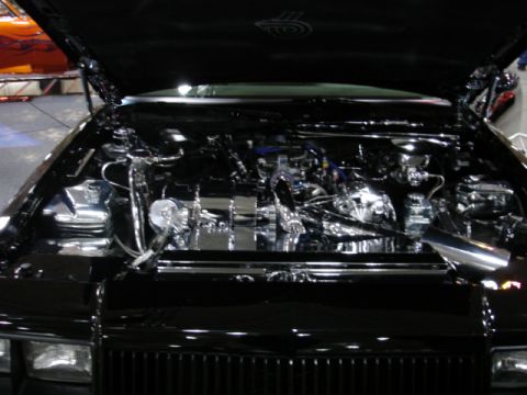 1981 Ford Mustang - Engine bay of a black car, polished chrome parts and engine components.