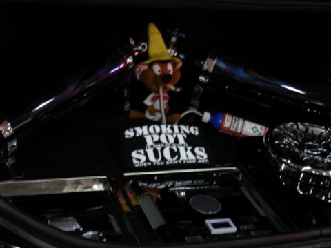 1981 Ford Mustang - A humorous graphic is displayed on a dark surface, accompanied by text and a bottle.