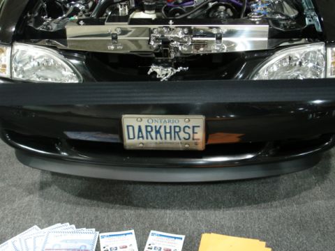1981 Ford Mustang - Front view of a black car with an open hood, engine details, a running horse emblem, and a custom license plate.