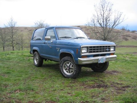 1991 Ford Explorer - A blue Ford Bronco II is parked on a grassy hill with trees in the background.