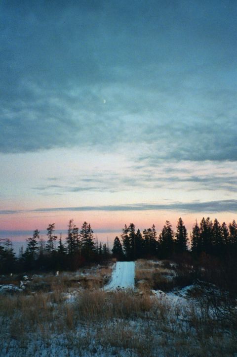 2001 Ford Taurus - A winter scene unfolds under a dusky sky, with snow dusting the landscape and trees silhouetted against the horizon.
