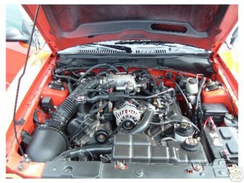 2000 Ford Mustang photo
