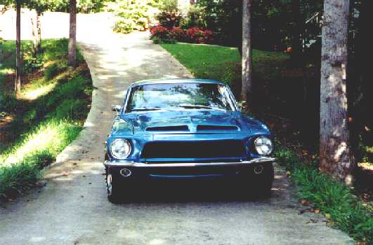 Blue Ford Mustang front view parked on a wooded driveway