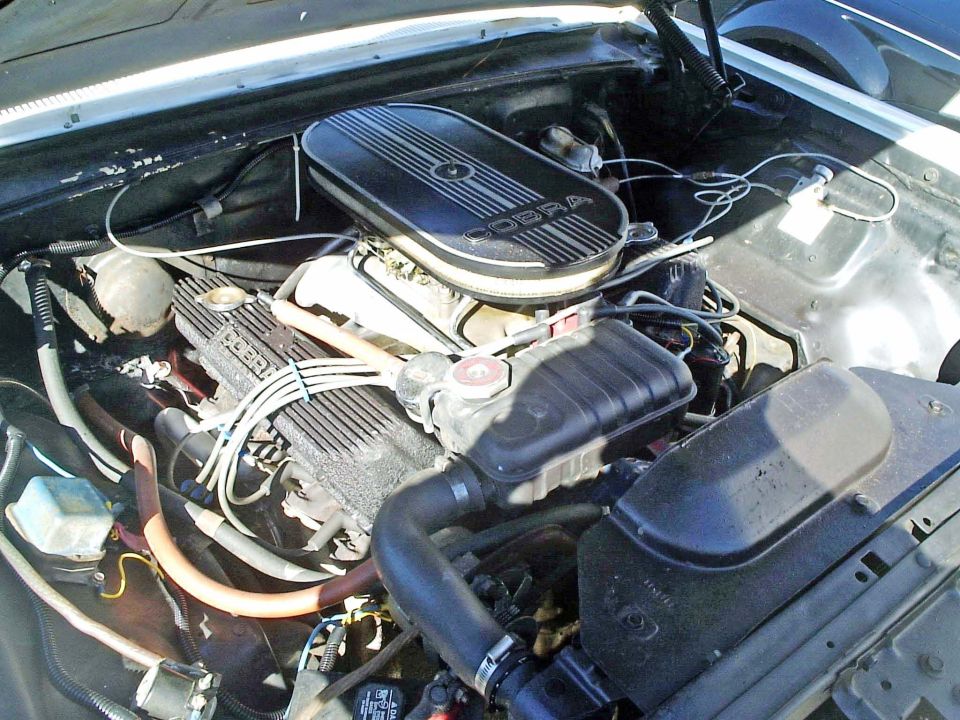 Engine bay showing a Cobra air cleaner and valve covers