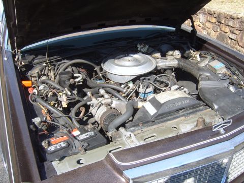 1982 Ford Crown Victoria LTD - Engine bay of a brown sedan from the 1980s, showing the V8 engine and associated components.