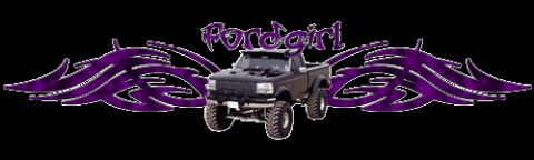 1993 Ford Bronco - A lifted Ford pickup truck is shown with tribal graphics and text on a white background.