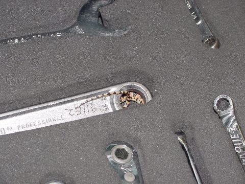 1986 Ford Bronco - Toolbox & Snake