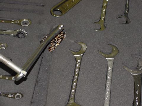 1986 Ford Bronco - Toolbox & Snake