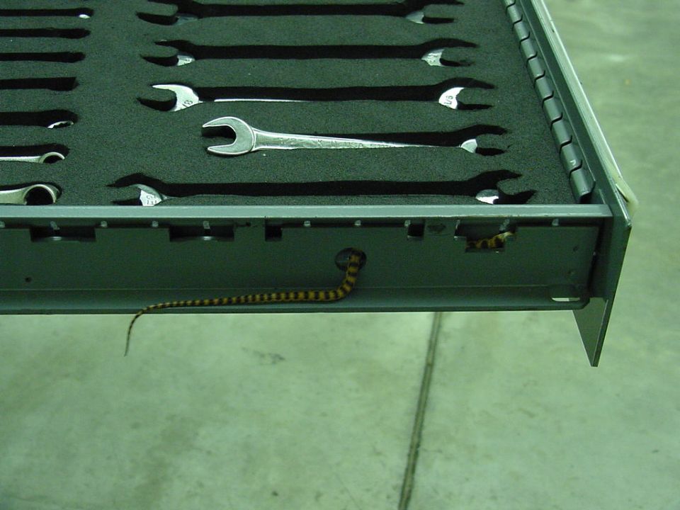 Toolbox & Snake