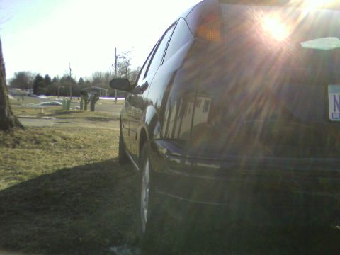 2002 Ford Focus - A black hatchback car is parked on a grassy area with a residential background under a bright sun.