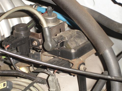 1996 Ford Bronco - stock coil