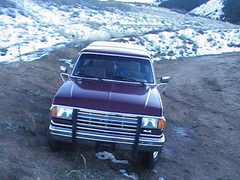 1988 Ford Bronco photo