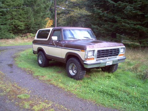 1979 Ford Bronco photo