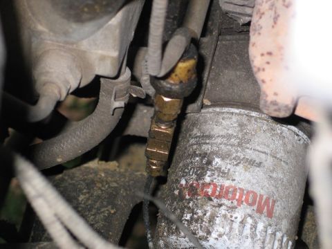 1995 Ford Bronco - Close-up view of a Motorcraft oil filter with attached hoses and a brass fitting.
