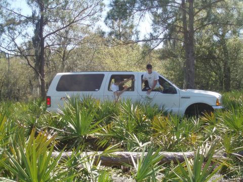2000 Ford Excursion - A white 2000 Ford Excursion is partially obscured by palm fronds and trees, with two individuals leaning out of the windows.