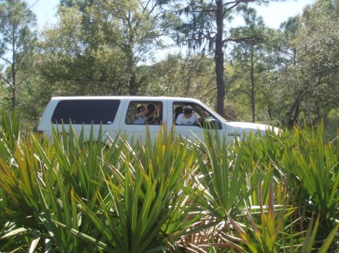 2000 Ford Excursion - A white 2000 Ford Excursion is seen driving through dense foliage, with several passengers visible inside.