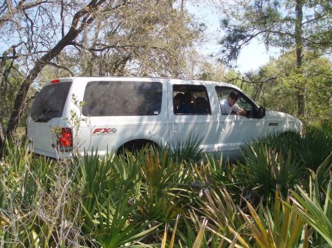 2000 Ford Excursion - A white 2000 Ford Excursion SUV is driven through dense vegetation, with a driver visible through the window.