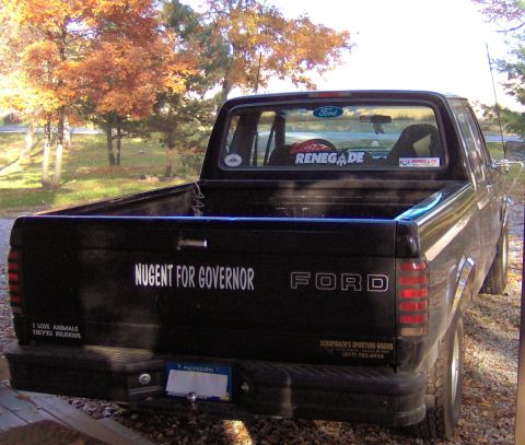 1995 Ford F-150 photo