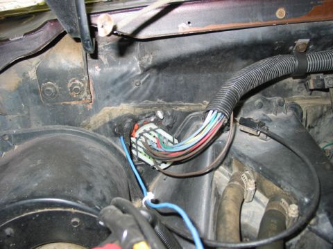1981 Ford Bronco - Close-up view of the engine bay wiring harness, showing various colored wires and connectors.