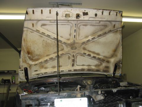 1981 Ford Bronco - Underside of the hood on a 1981 Ford Bronco, showing the engine bay.