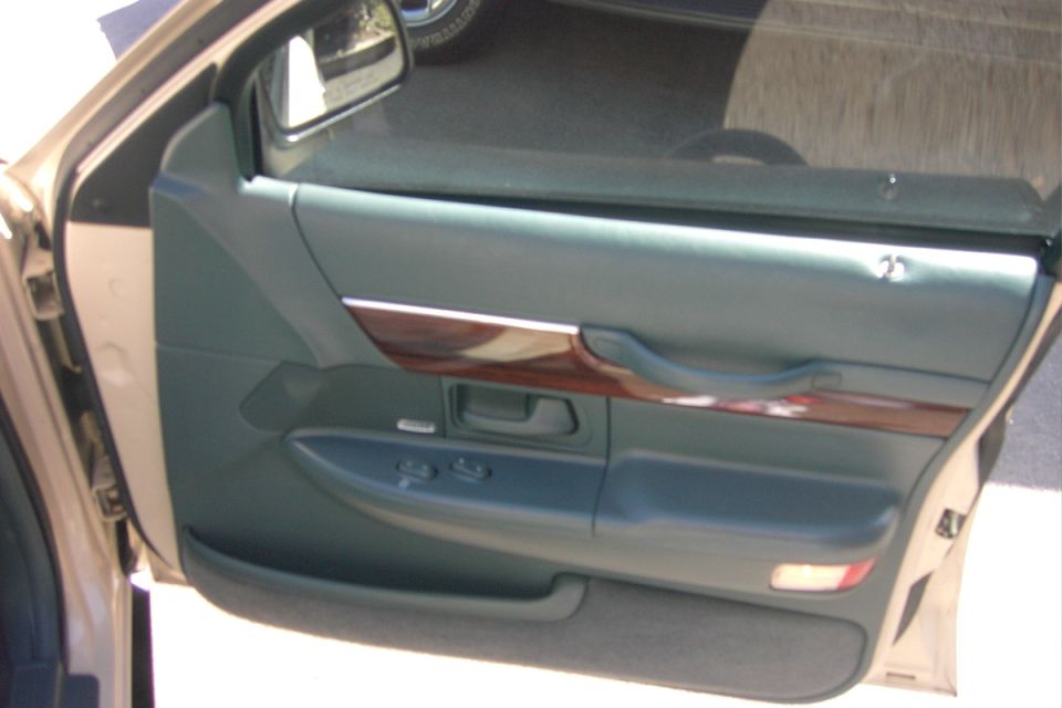 RH front door panel

Note Alpine speaker grille logo, also the faint metallic shine of the Alpine type-Rs behind the grille.