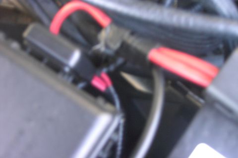 1996 Mercury Grand Marquis - Power feed lines, w/ power distribution box input shield on