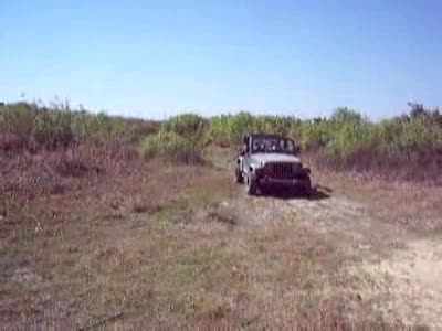 2004 Dodge 3500 - Crazy Video