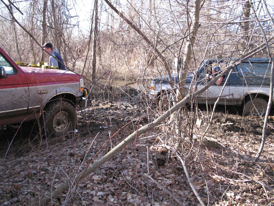 Two SUVs stuck in mud and trees. The front vehicle is a red and silver Ford pickup truck. The rear vehicle is a dark blue and silver Ford Bronco