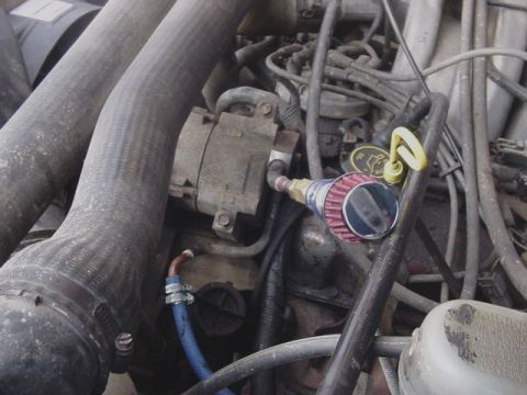 1995 Ford Mustang - Close-up view of an engine bay, showing various components and hoses.