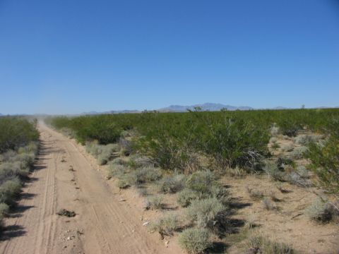 1992 Ford Bronco - A dirt road winds through arid brushland with distant mountains under a bright blue sky.