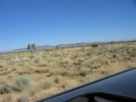 1992 Ford Bronco - A wide view of a dry, grassy landscape dotted with Joshua trees under a vast blue sky.